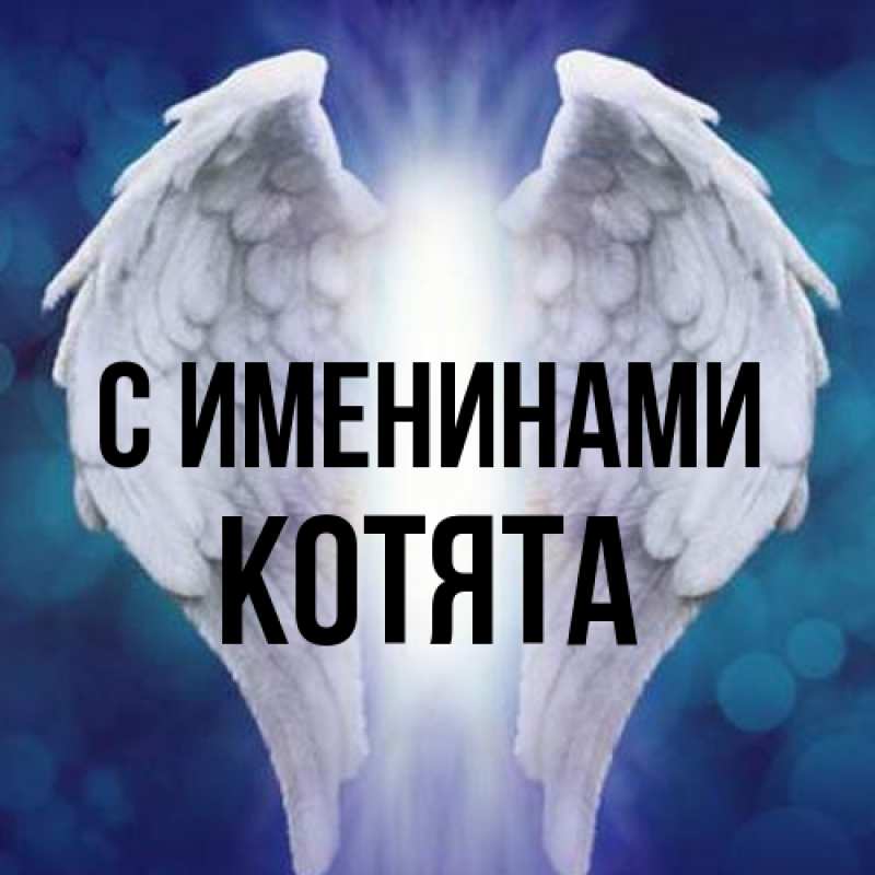 Картинка С именинами, Котята