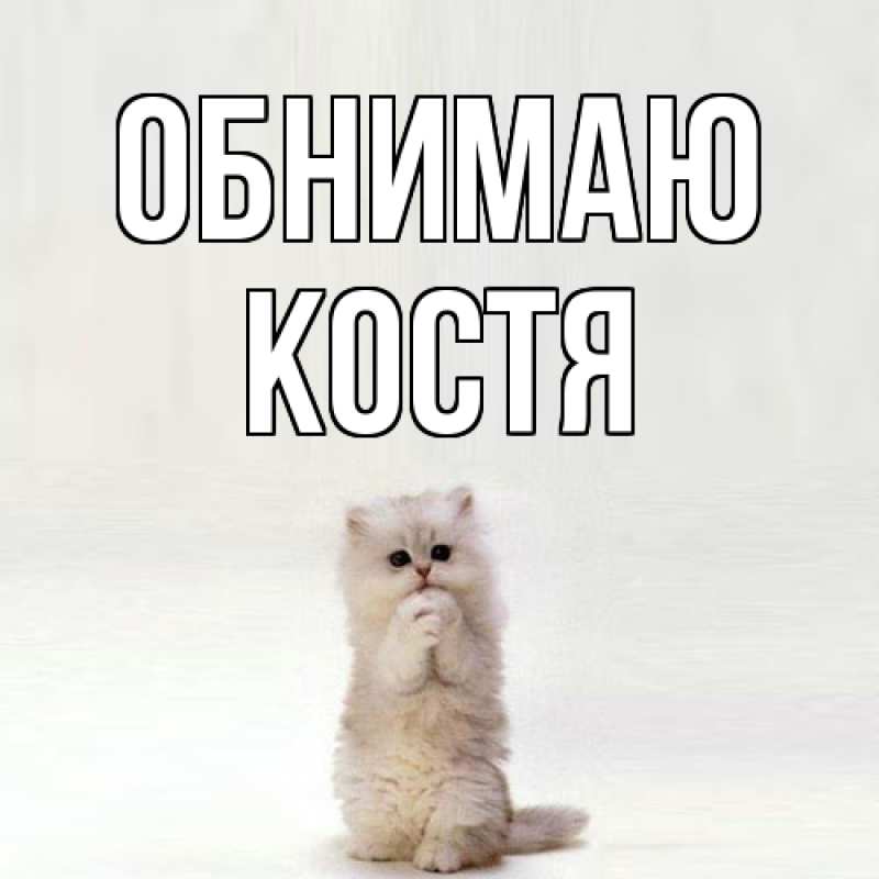 Картинка Обнимаю, костя