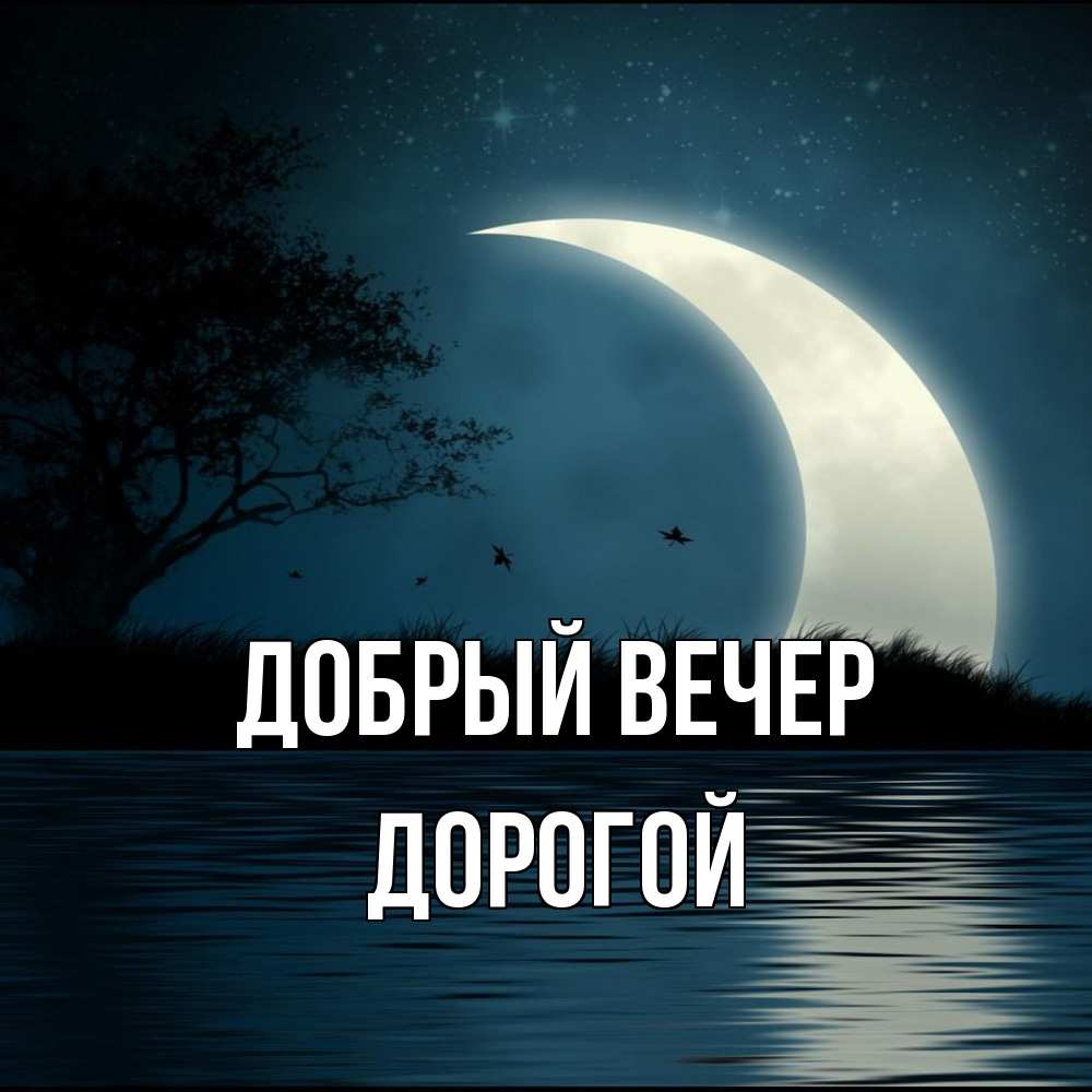 Открытка  с именем. Дорогой, Добрый вечер  