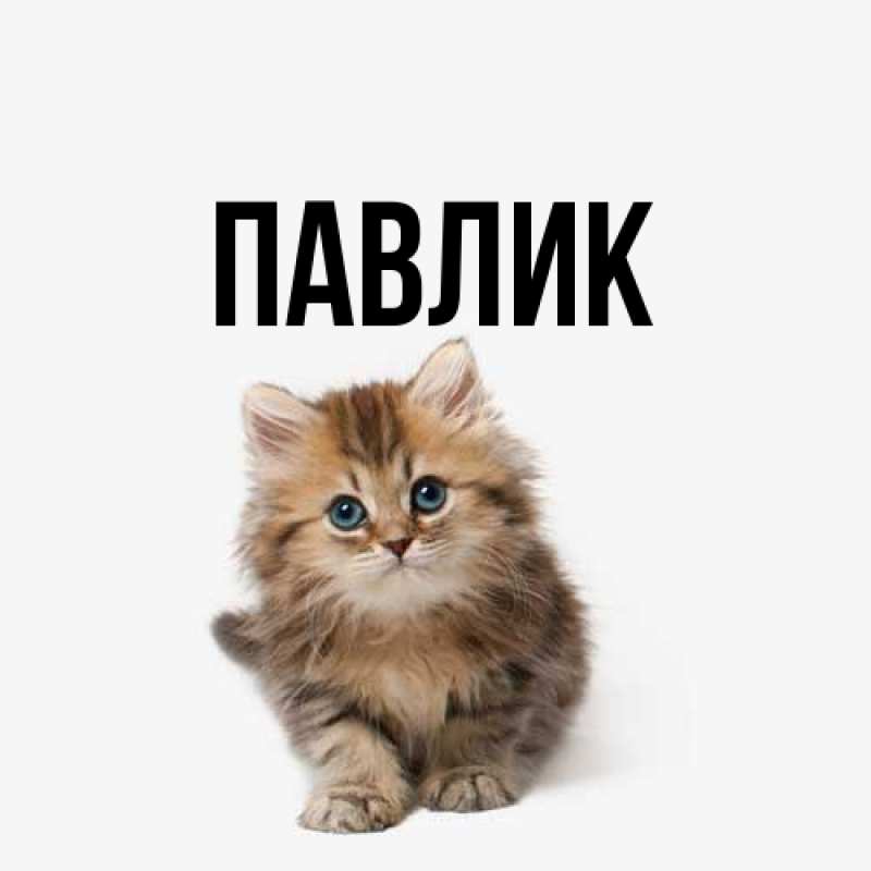 Картинка  с именем , Павлик