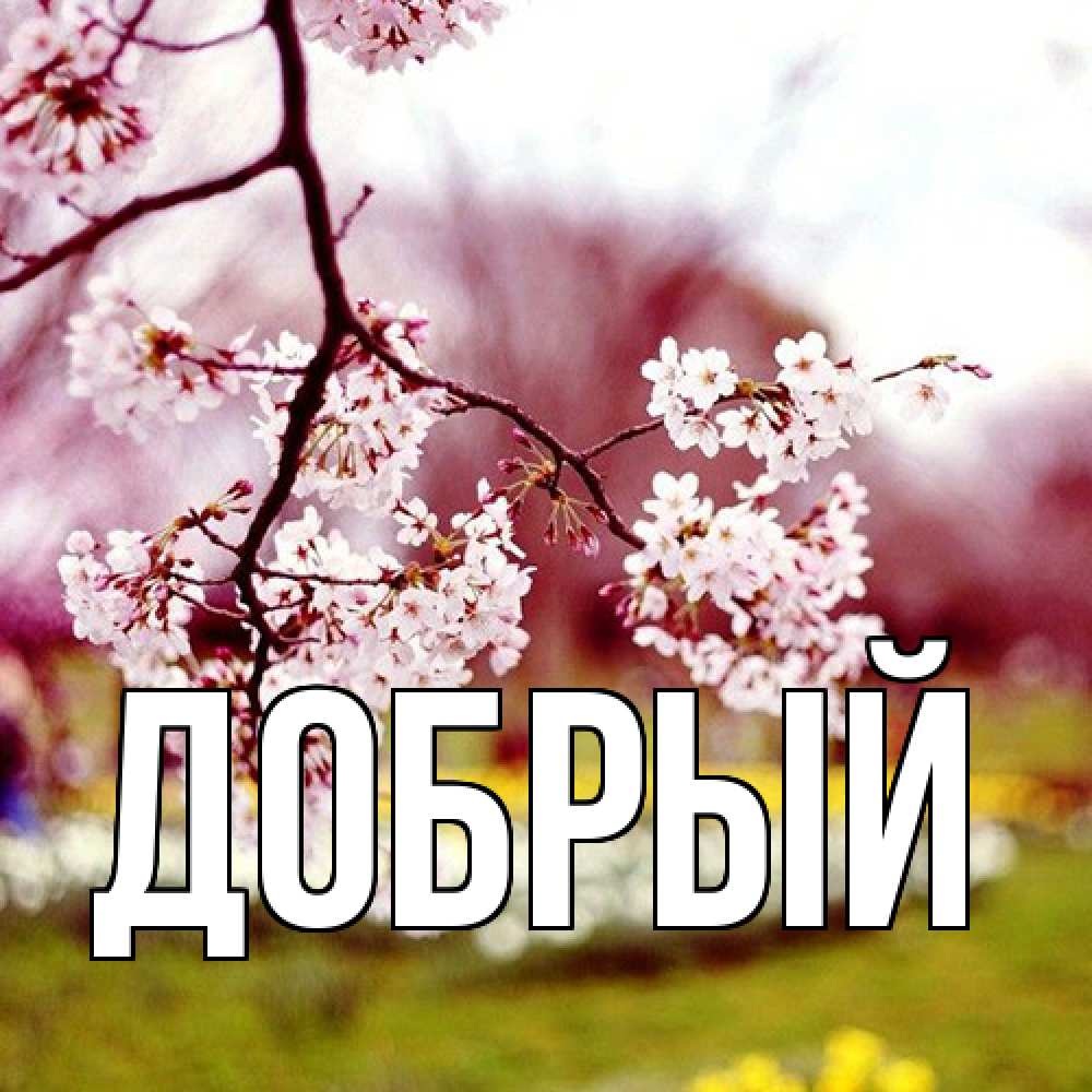 Открытка  с именем. Добрый, Главная  