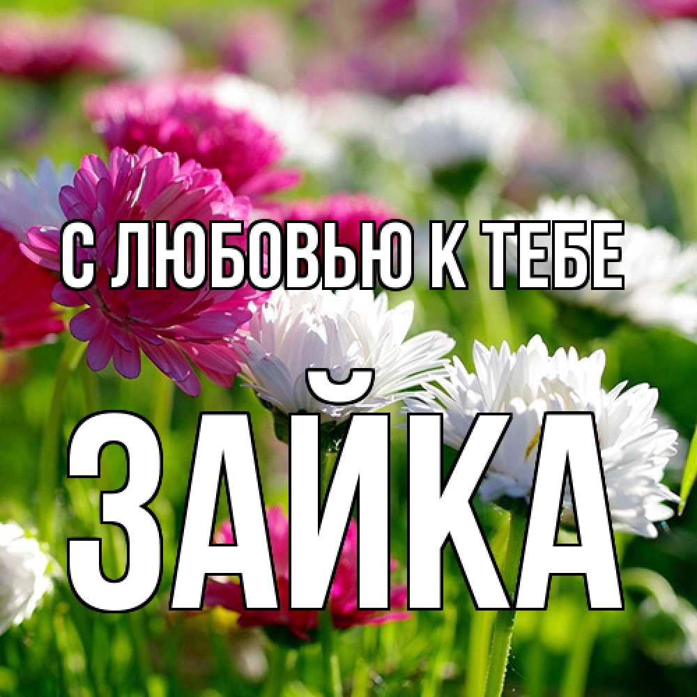 Открытка  с именем. Зайка, С любовью к тебе  