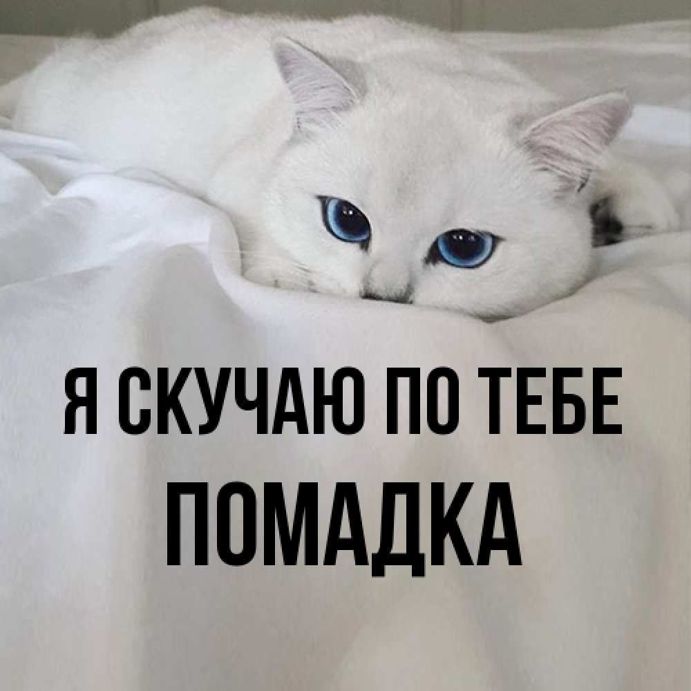 Открытка  с именем. Помадка, Я скучаю по тебе  