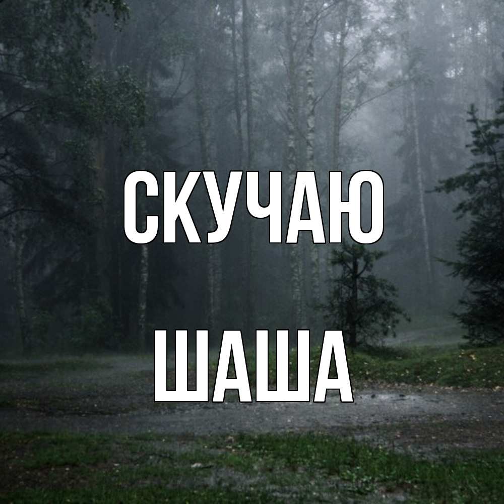 Открытка  с именем. Шаша, Скучаю  