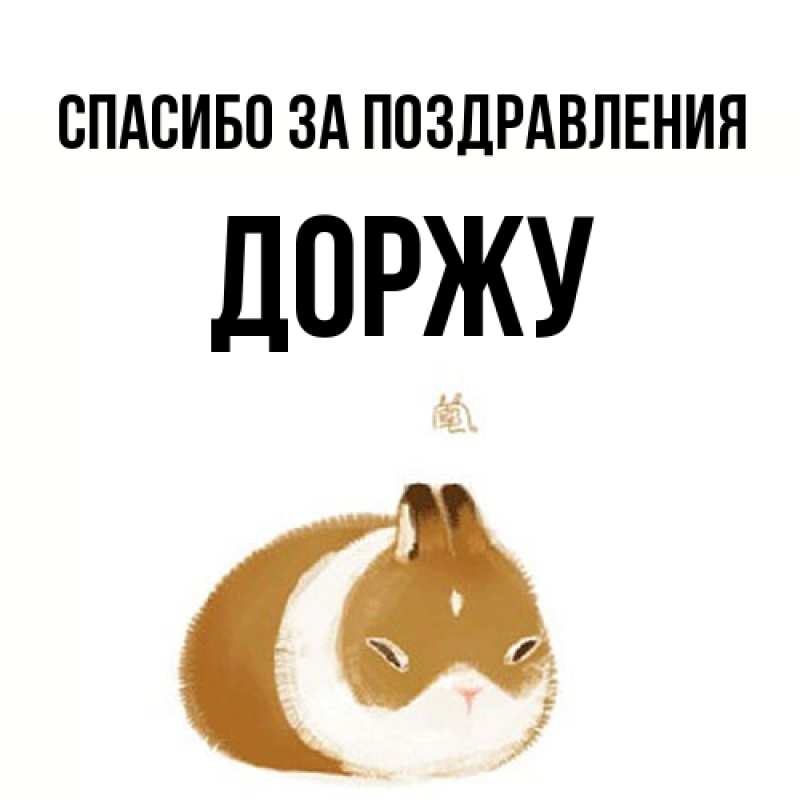 Картинка Спасибо за поздравления, Доржу