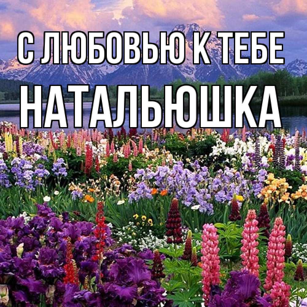 Открытка  с именем. Натальюшка, С любовью к тебе  