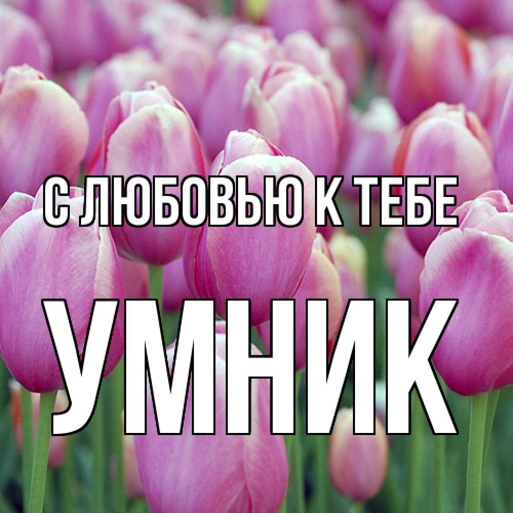 Открытка  с именем. Умник, С любовью к тебе  