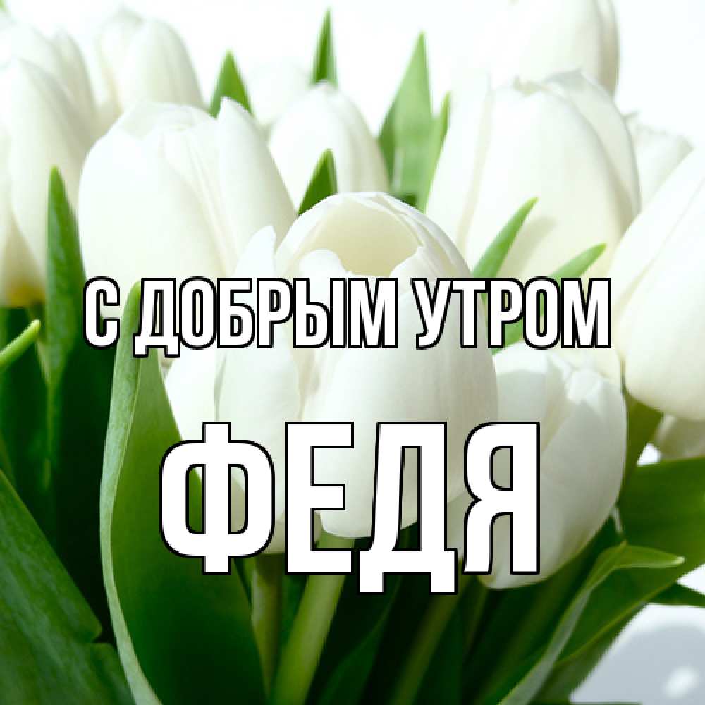 Открытка  с именем. Федя, С добрым утром  