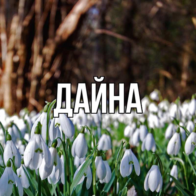 Картинка  с именем , Дайна