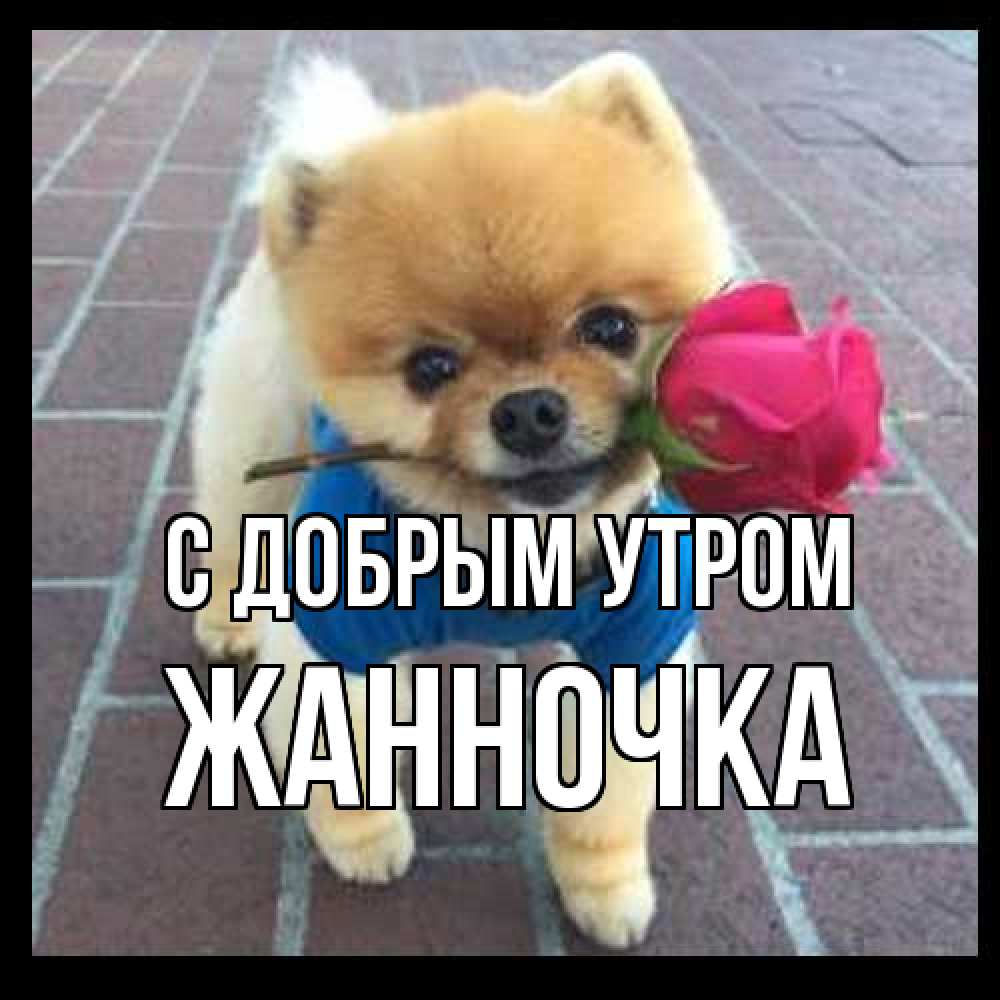 Открытка  с именем. Жанночка, С добрым утром  