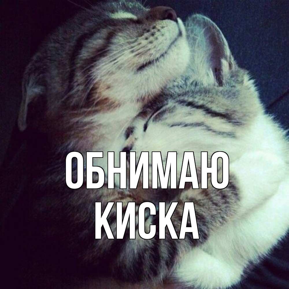 Открытка  с именем. Киска, Обнимаю  
