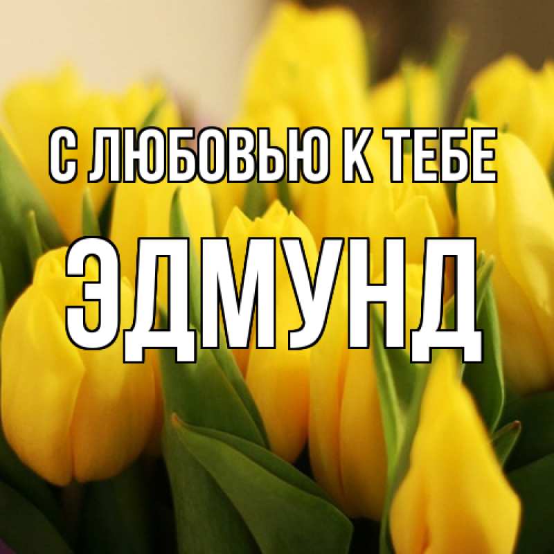 Картинка С любовью к тебе, Эдмунд