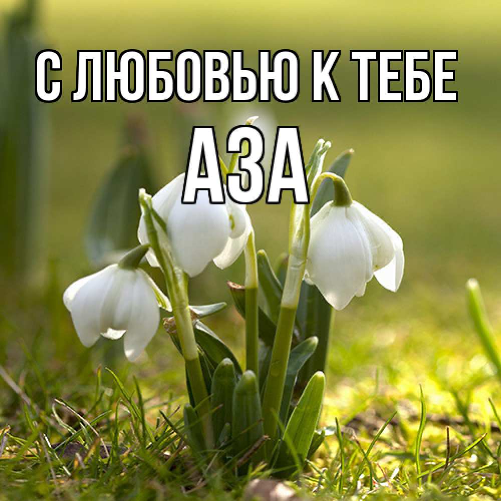 Открытка  с именем. Аза, С любовью к тебе  