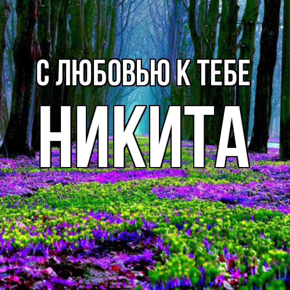 Открытка  с именем. Никита, С любовью к тебе  