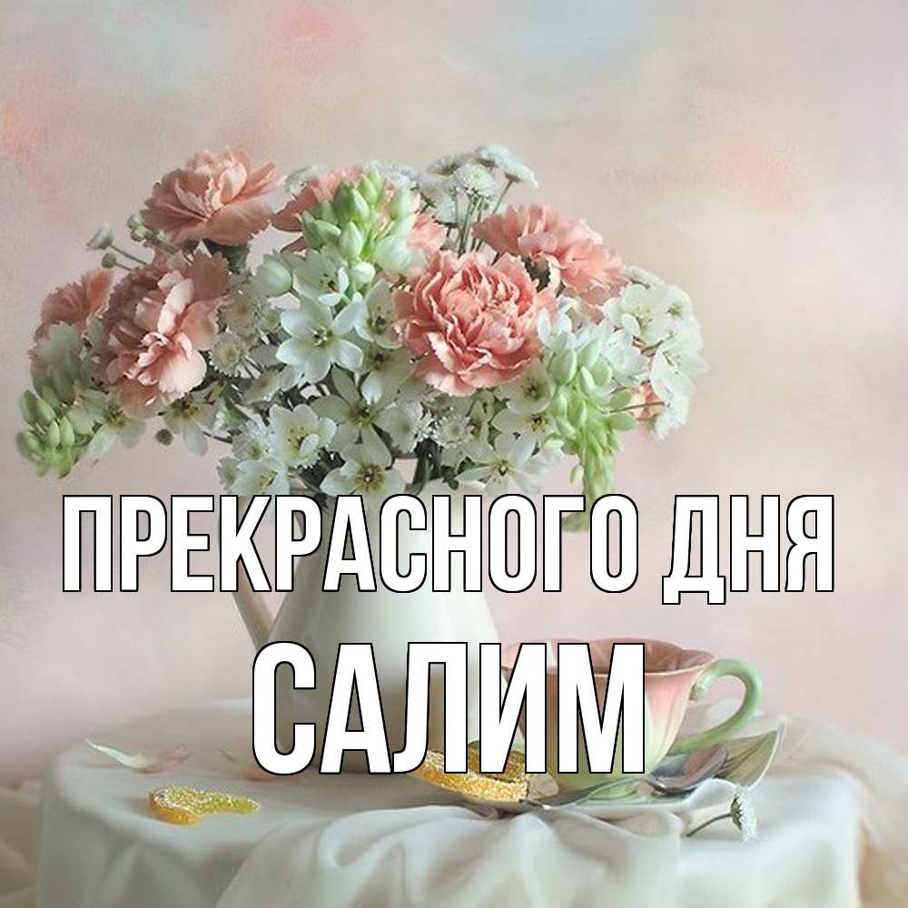 Открытка  с именем. Салим, Прекрасного дня  