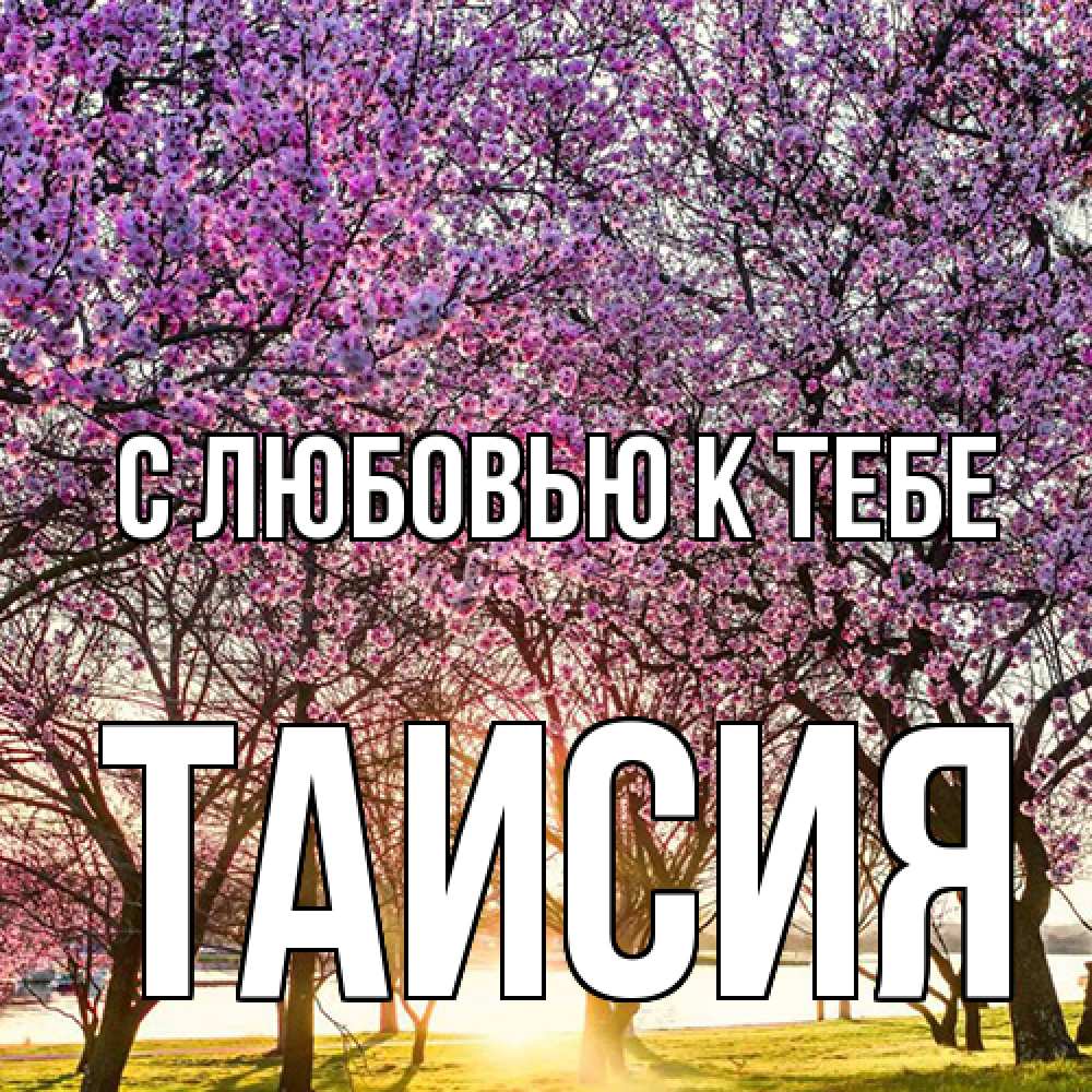 Открытка  с именем. Таисия, С любовью к тебе  