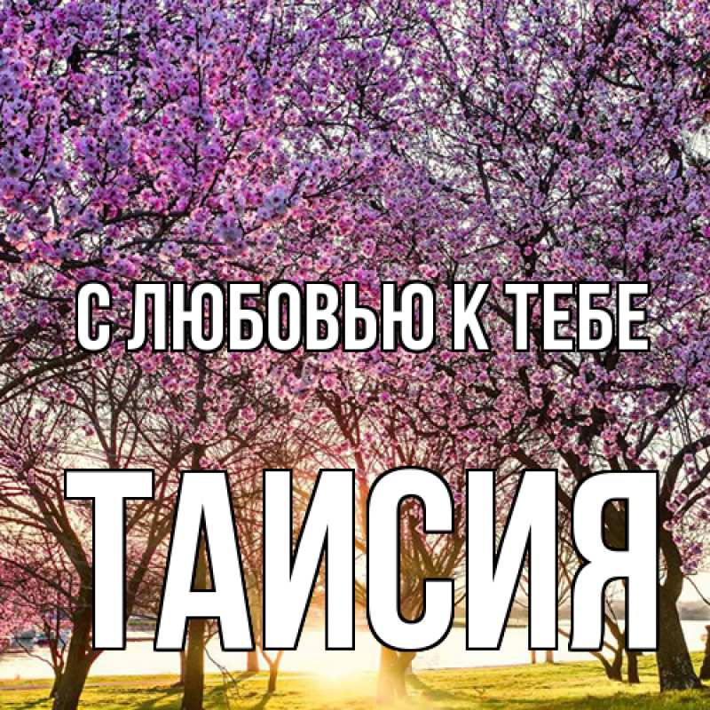 Картинка С любовью к тебе, Таисия