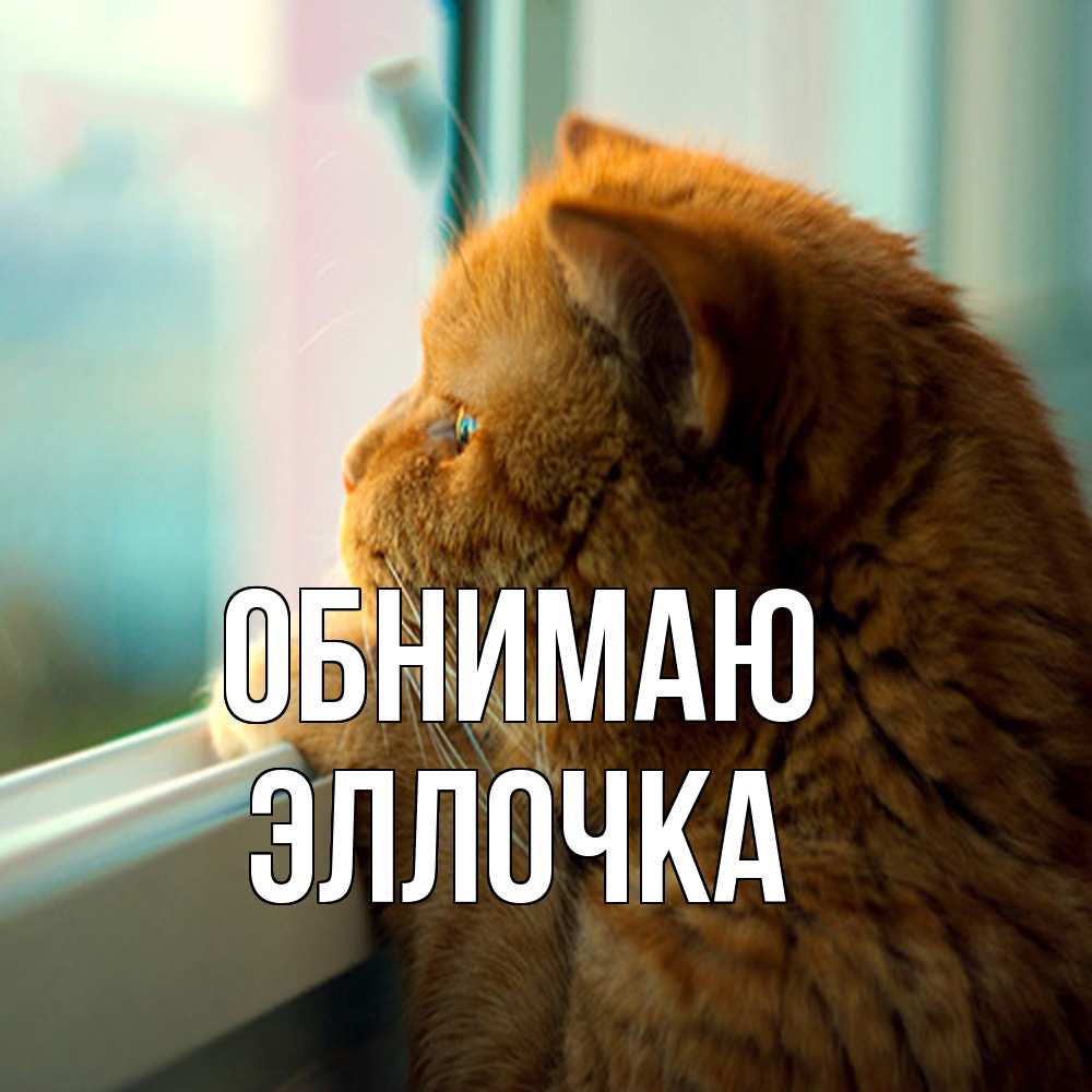 Открытка  с именем. Эллочка, Обнимаю  
