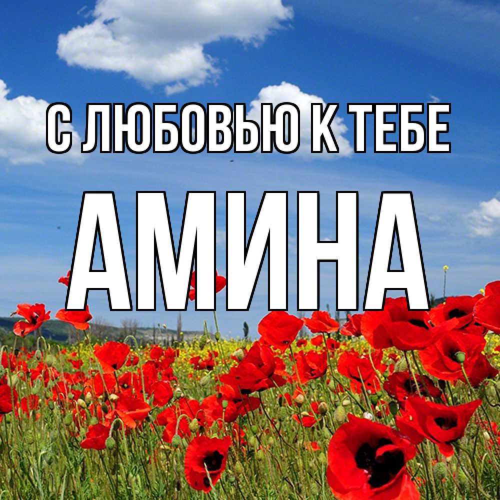 Открытка  с именем. Амина, С любовью к тебе  