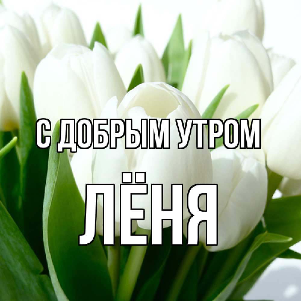 Открытка  с именем. Лёня, С добрым утром  