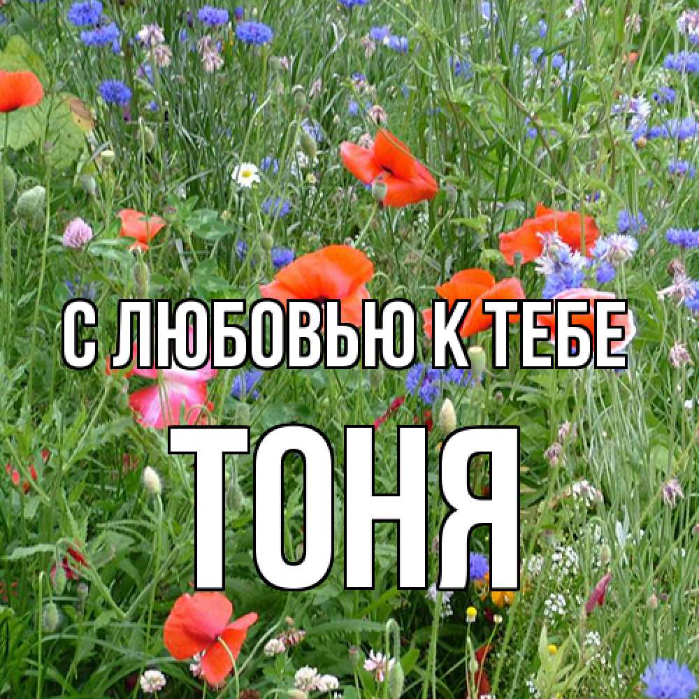 Открытка  с именем. Тоня, С любовью к тебе  