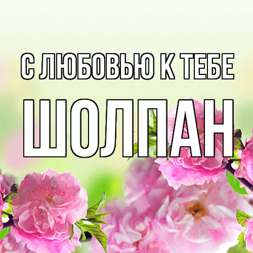Открытка  с именем. Шолпан, С любовью к тебе  