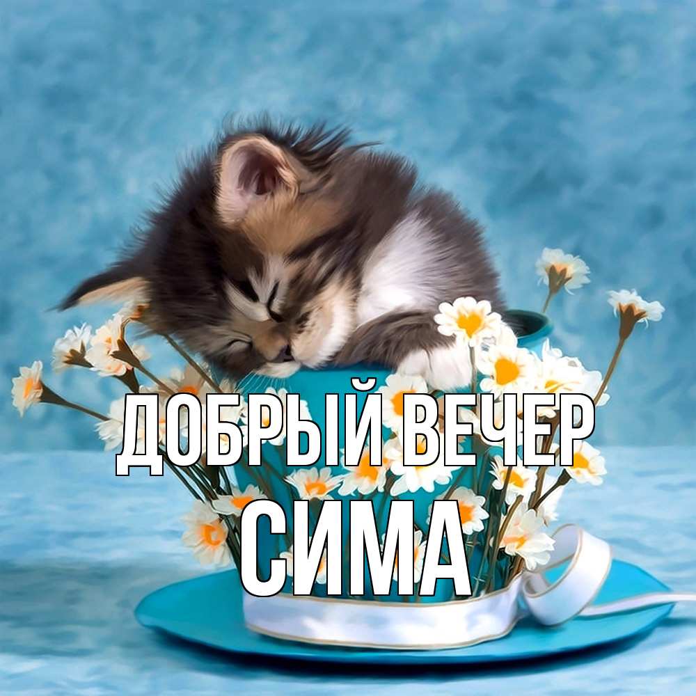 Открытка  с именем. сима, Добрый вечер  