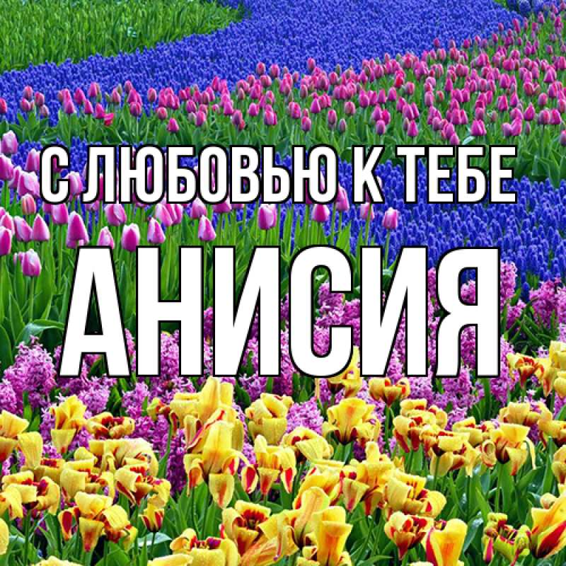 Картинка С любовью к тебе, Анисия