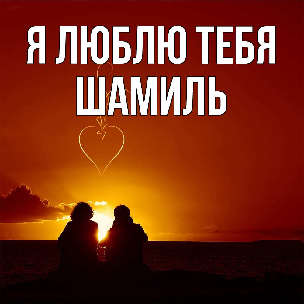 Открытка  с именем. Шамиль, Я люблю тебя  
