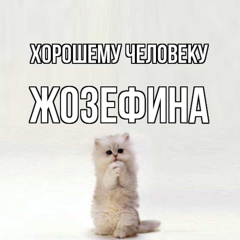 Картинка Хорошему человеку, Жозефина