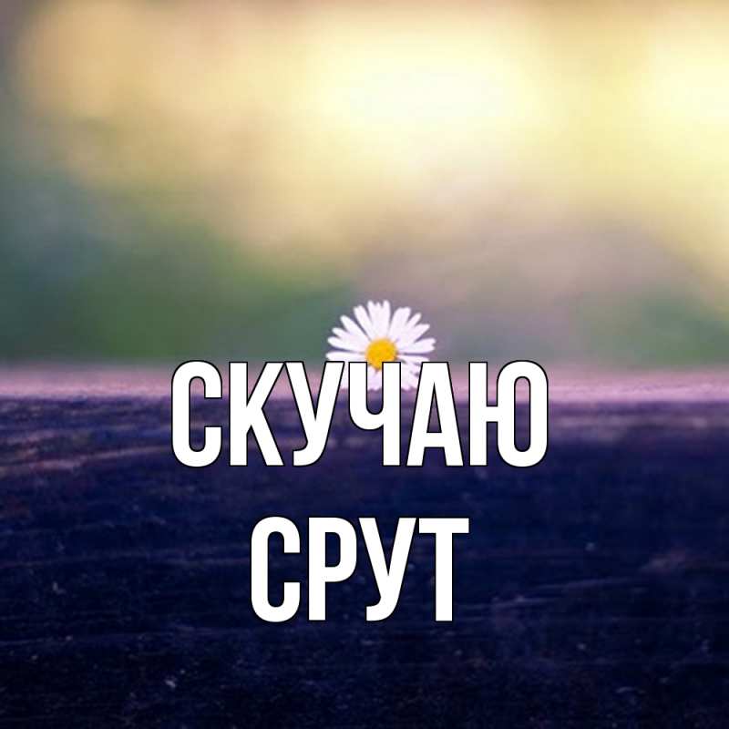 Картинка Скучаю, срут