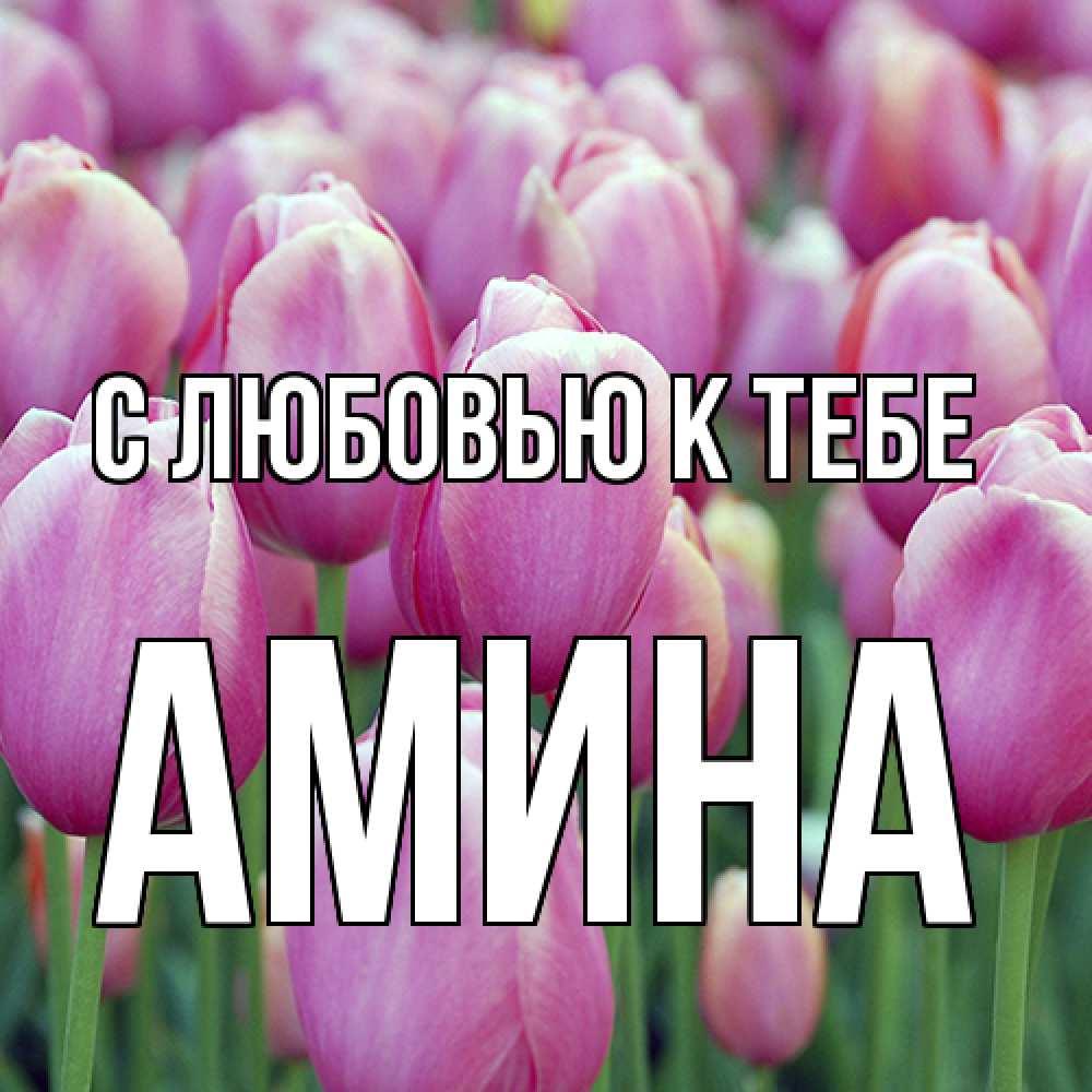 Открытка  с именем. Амина, С любовью к тебе  