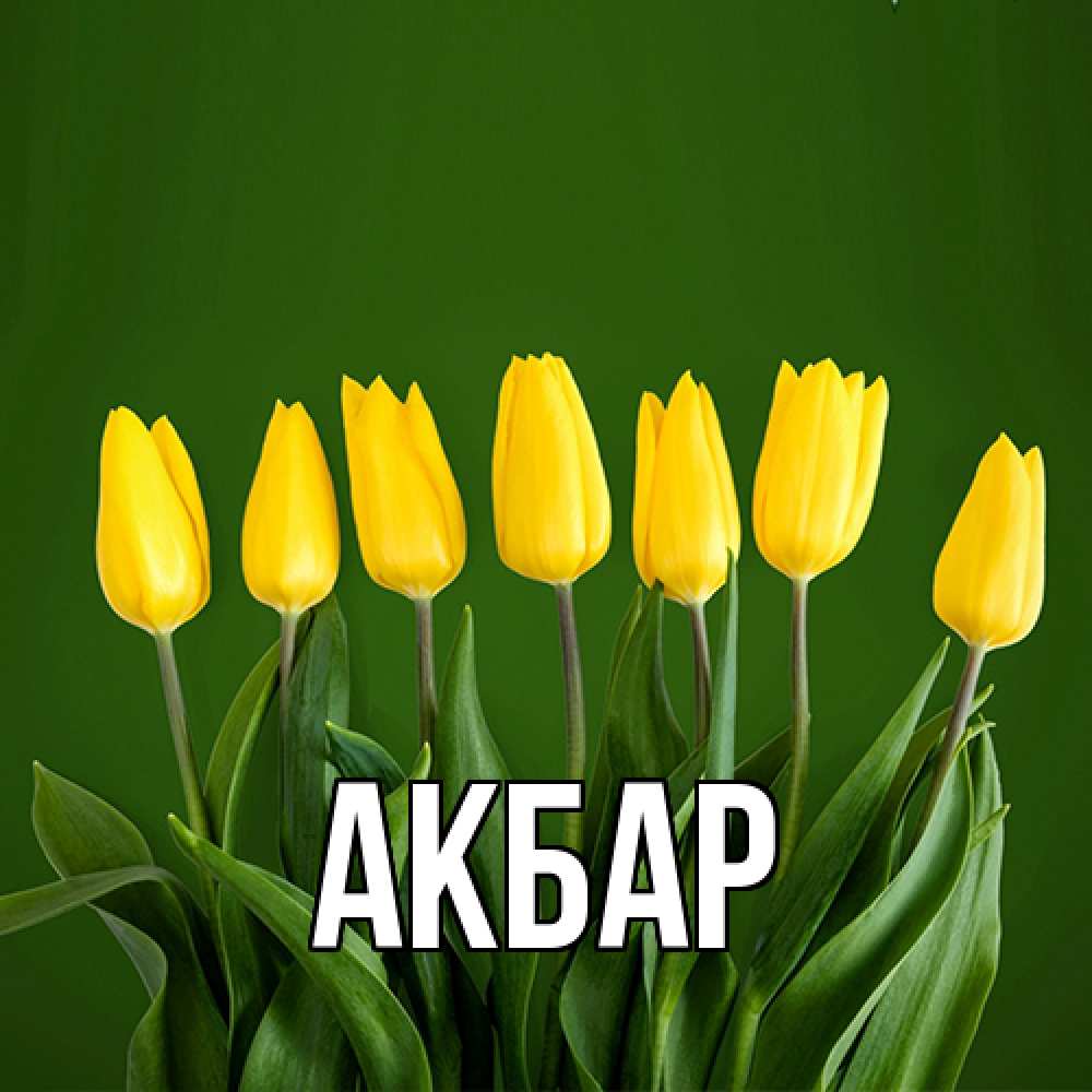 Открытка  с именем. Акбар, Главная  