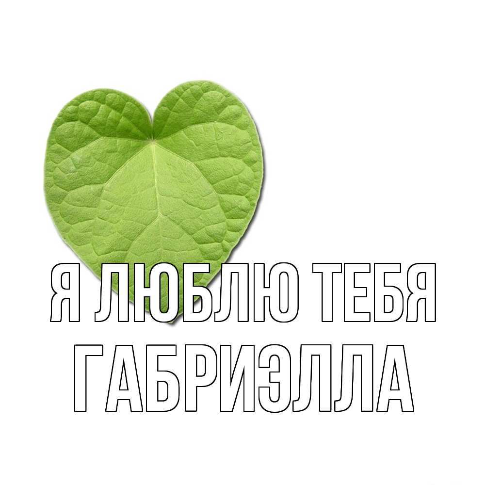 Открытка  с именем. Габриэлла, Я люблю тебя  