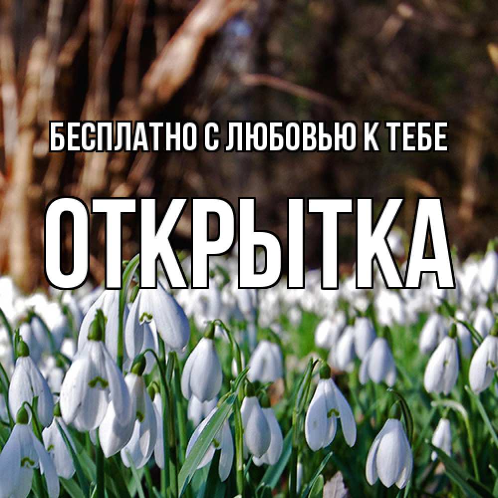 Открытка  с именем. открытка, С любовью к тебе  