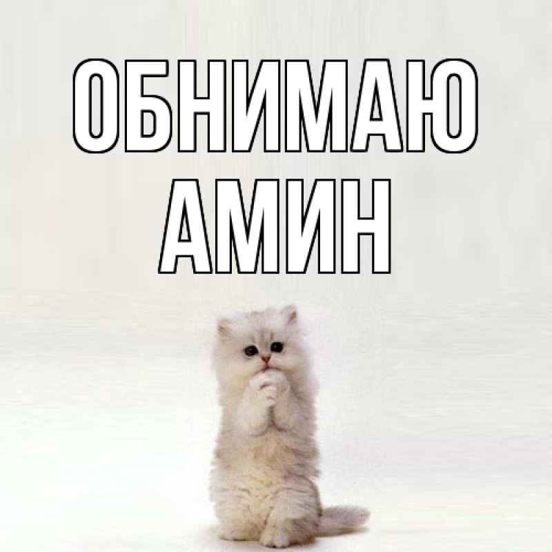 Картинка Обнимаю, Амин