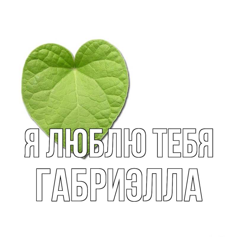 Картинка Я люблю тебя, Габриэлла