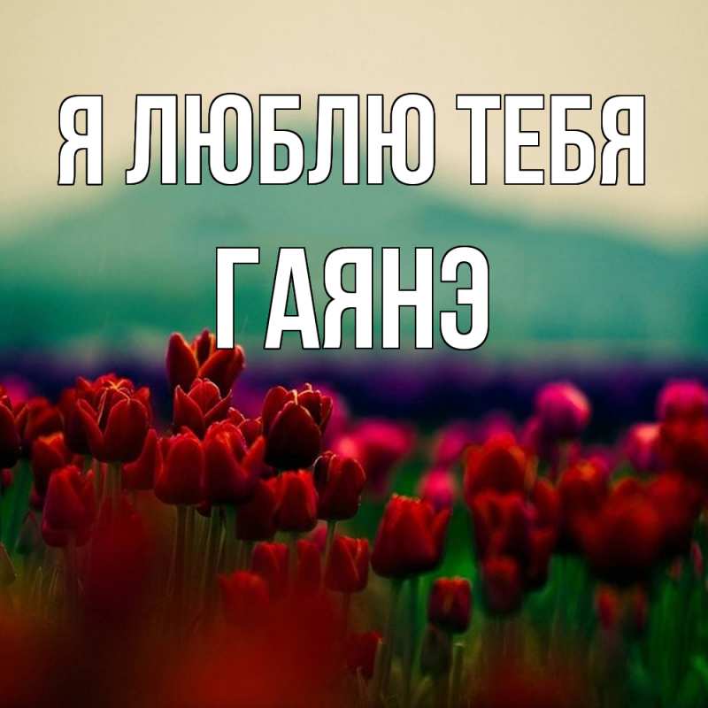 Картинка Я люблю тебя, Гаянэ