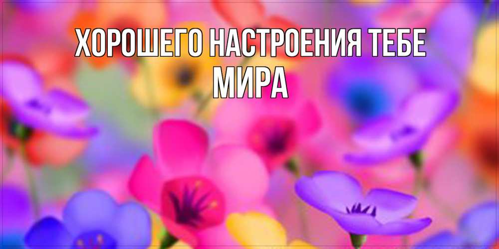 Открытка  с именем. Мира, Хорошего настроения тебе  