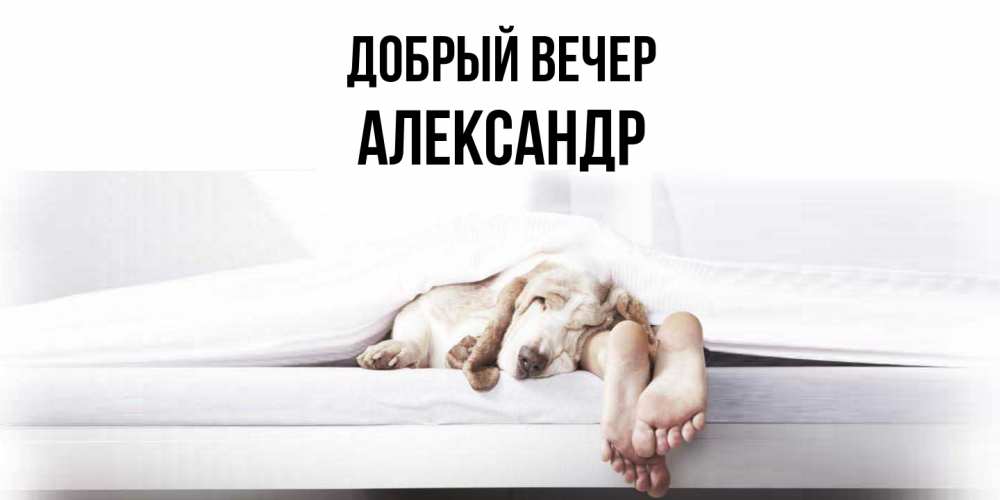 Открытка  с именем. александр, Добрый вечер  