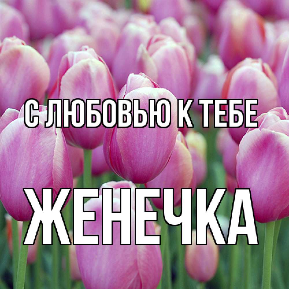 Открытка  с именем. Женечка, С любовью к тебе  