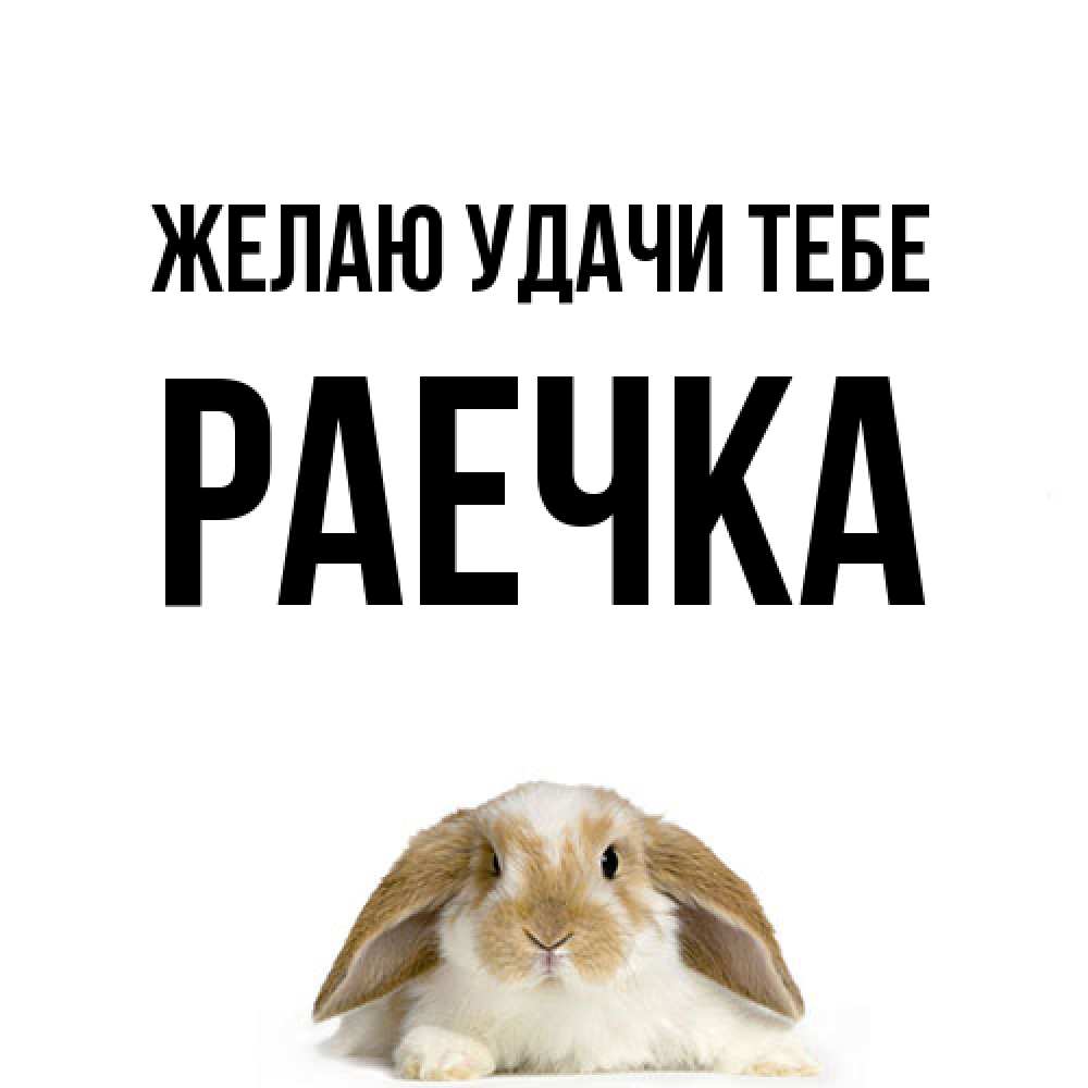 Открытка  с именем. раечка, Желаю удачи тебе  