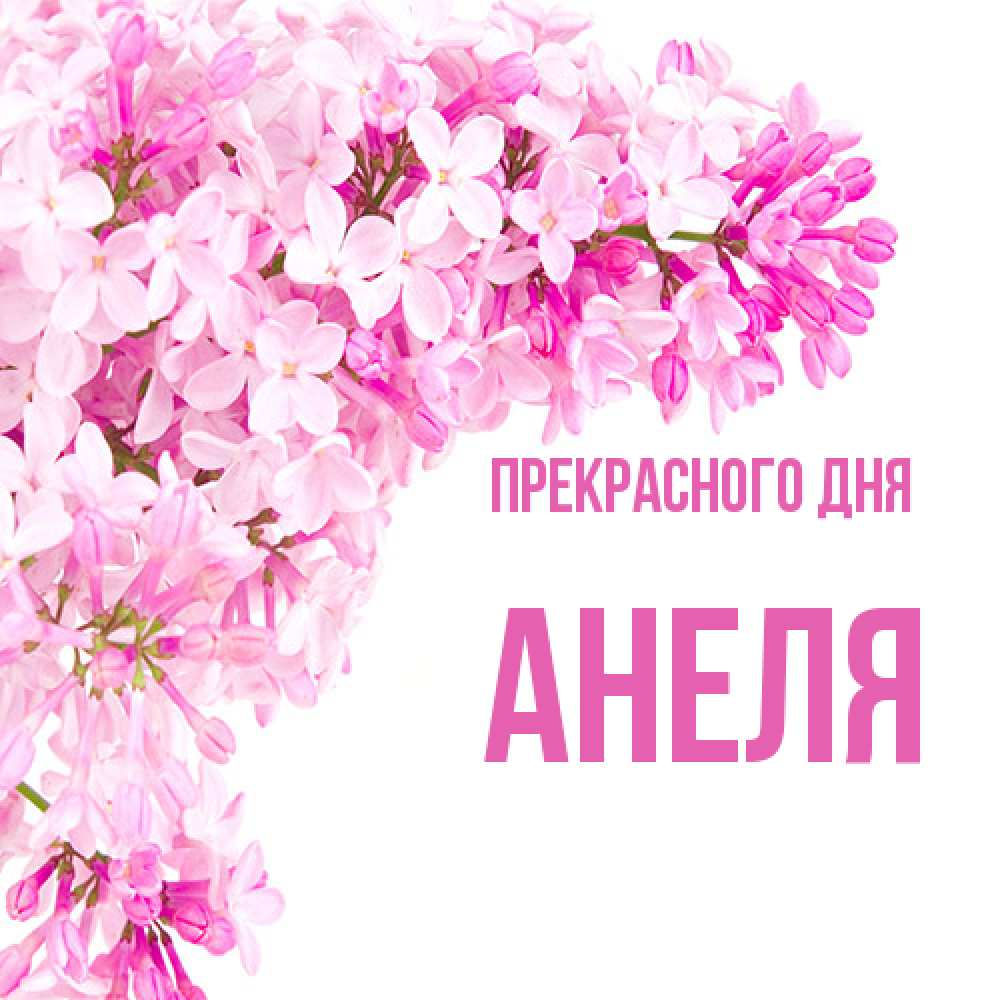 Открытка  с именем. Анеля, Прекрасного дня  
