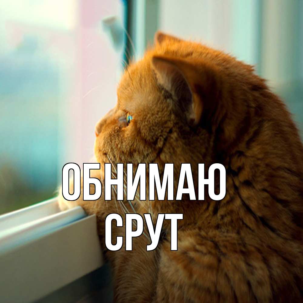 Открытка  с именем. срут, Обнимаю  