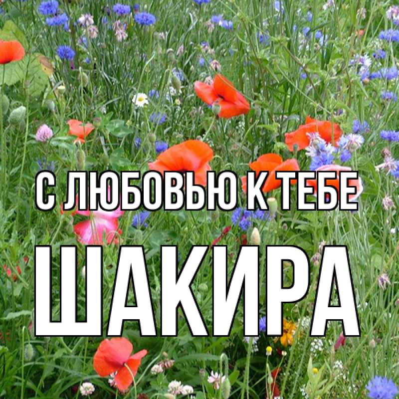 Картинка С любовью к тебе, Шакира