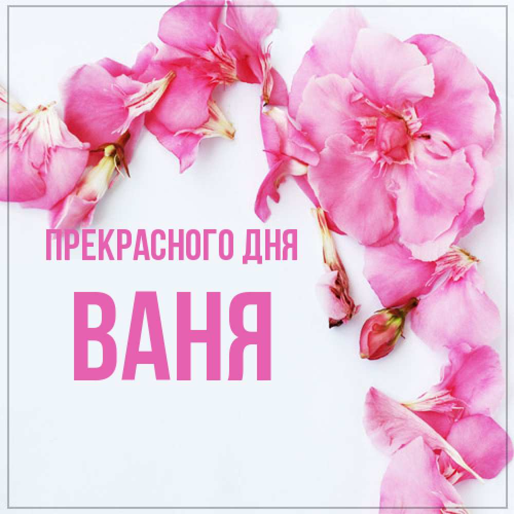 Открытка  с именем. Ваня, Прекрасного дня  