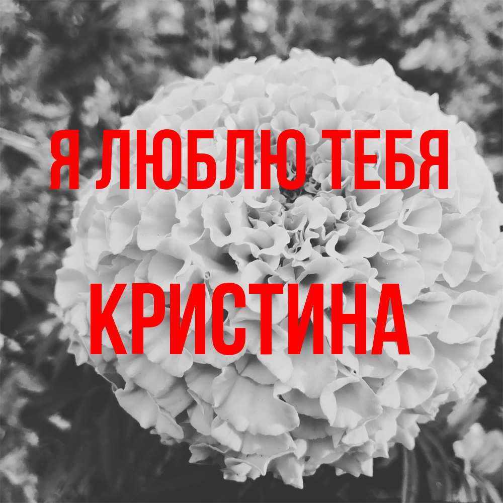 Открытка  с именем. Кристина, Я люблю тебя  