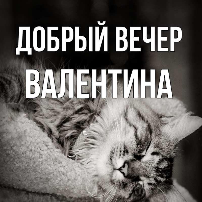 Картинка Добрый вечер, валентина