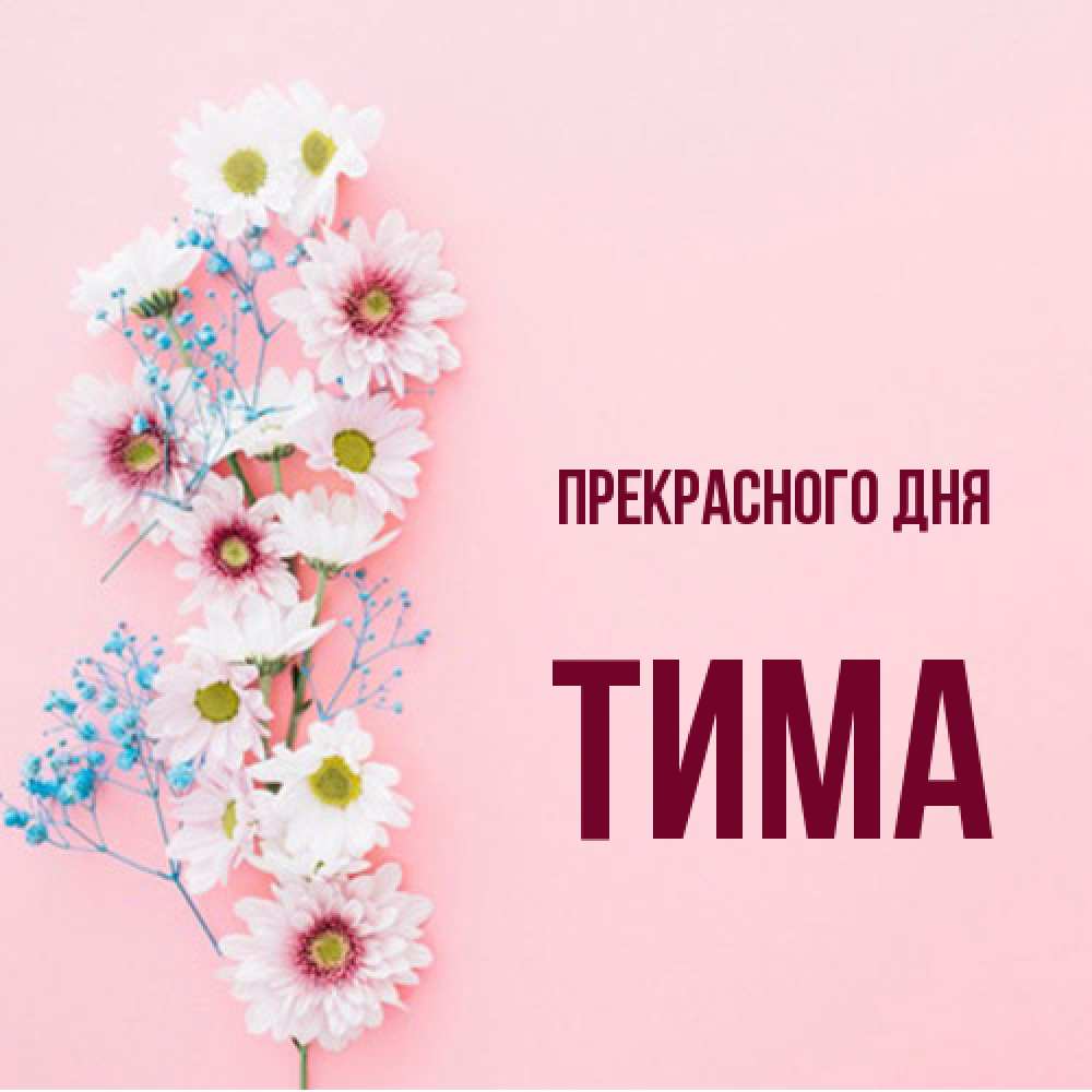 Открытка  с именем. Тима, Прекрасного дня  
