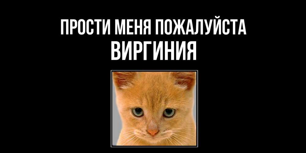 Открытка  с именем. Виргиния, Прости меня пожалуйста  